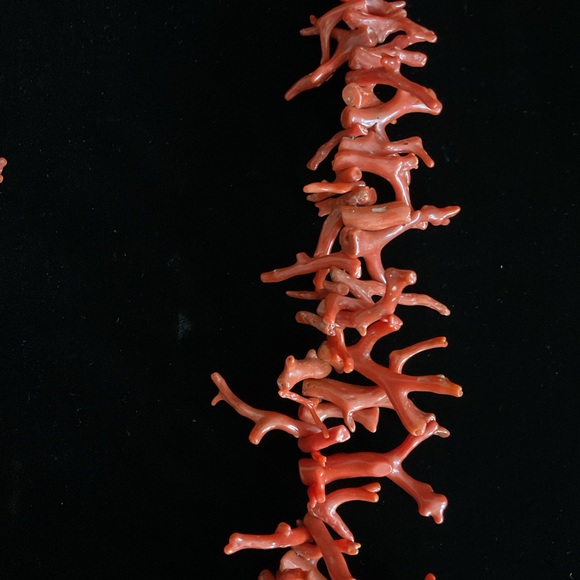 Genuine Mediterranean Red Coral Branch Necklace - Picture 6 of 8